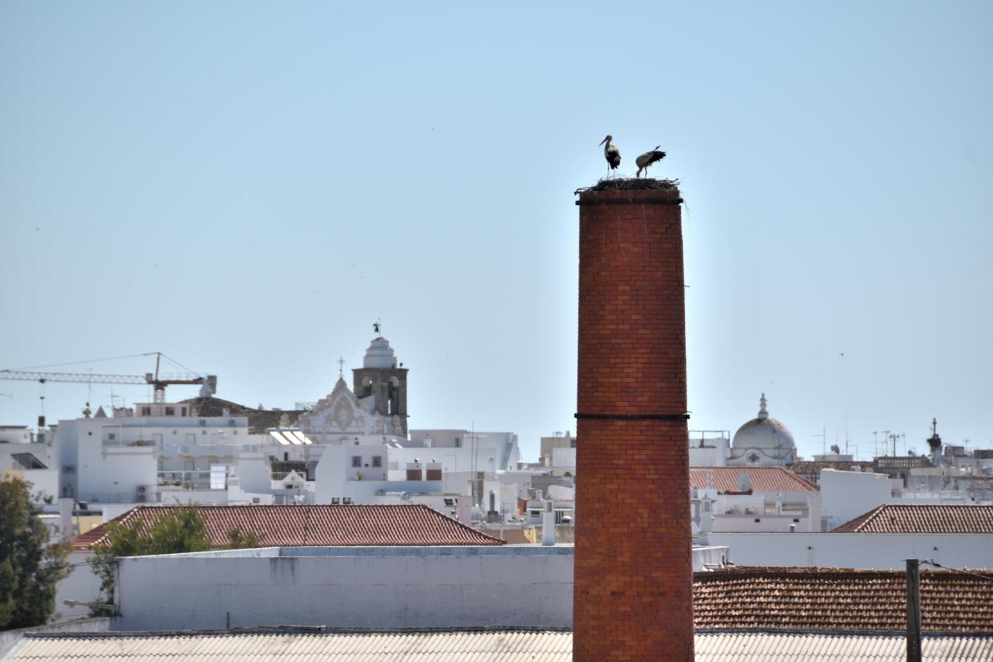 Stork Apartment Olhão Buitenkant foto